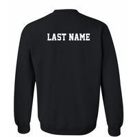 Gildan Crewneck Sweatshirt (Youth & Adult) | SCDT25