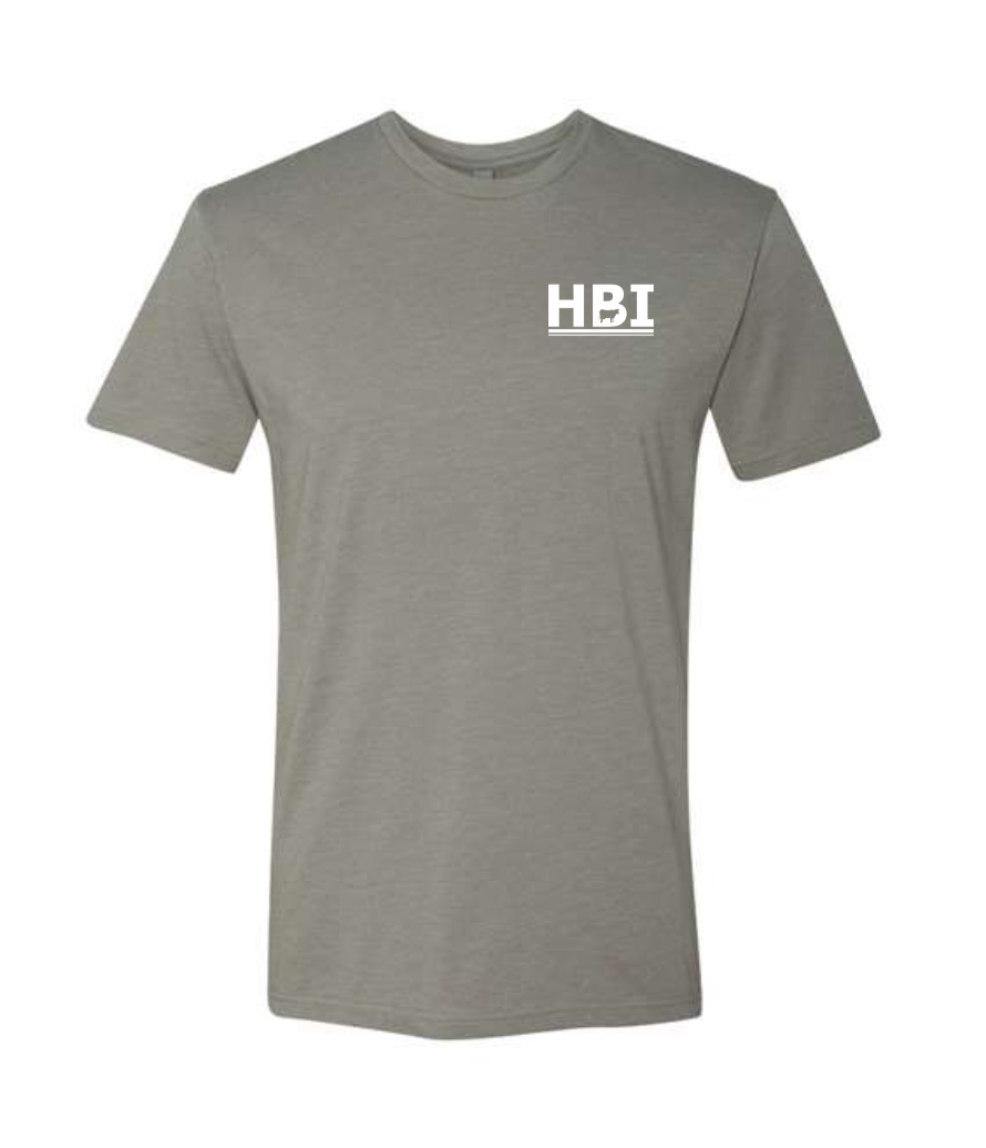 HBI NEXT LEVEL CVC TEE (ADULT) | HBI
