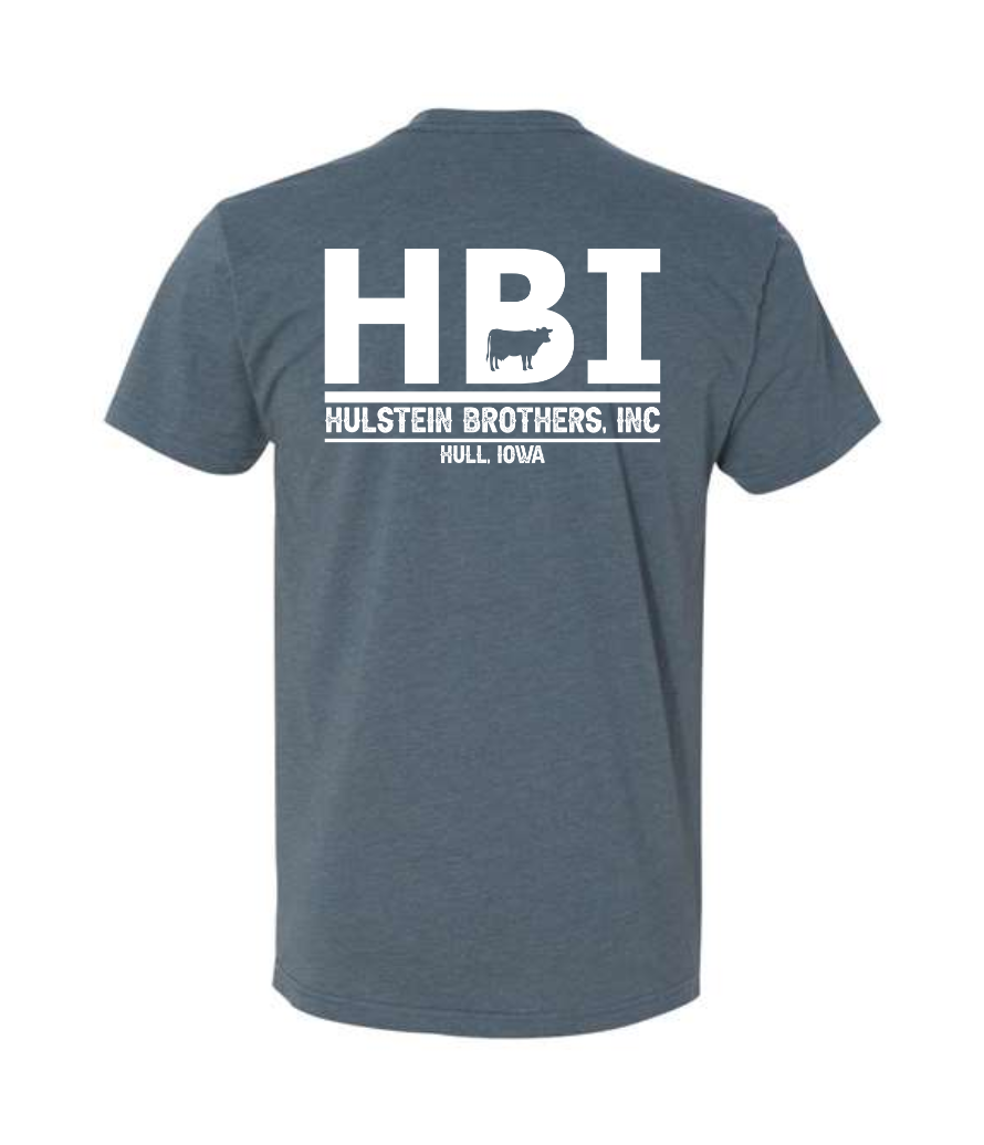HBI NEXT LEVEL CVC TEE (ADULT) | HBI
