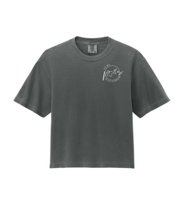 P&S LOGO COMFORT COLORS CROP BOXY TEE | PSC
