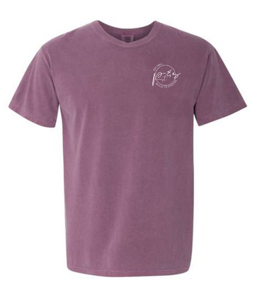 P&S LOGO COMFORT COLORS T-SHIRT | PSC