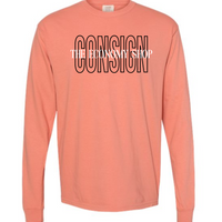CONSIGN ADULT COMFORT COLORS LONG SLEEVE T-SHIRT | TES