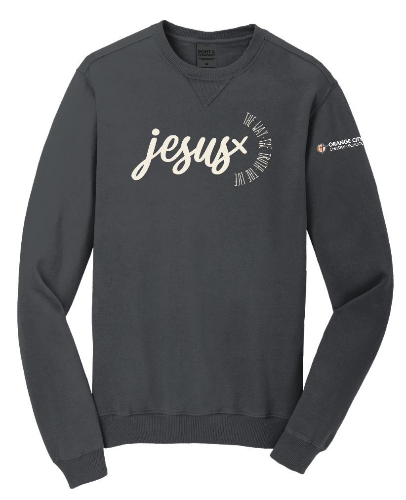 WAY TRUTH LIFE PORT & CO Beach Wash Crewneck | OCCSFALL