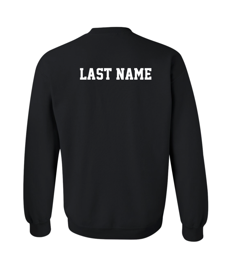 Gildan Crewneck Sweatshirt (Youth & Adult) | SCDT25