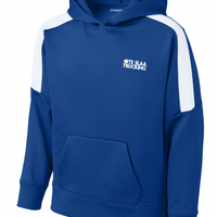 VINTAGE CAB OVER SPORT-TEK HOODIE (YOUTH) | TESLAA