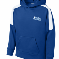 TRUCK + FLAG SPORT-TEK HOODIE (YOUTH) | TESLAA