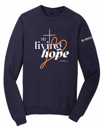 LIVING HOPE PORT & CO Beach Wash Crewneck | OCCSFALL