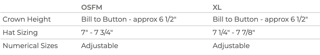 TESLAA PATCH RICHARDSON SNAPBACK CAP (YOUTH) | TESLAA