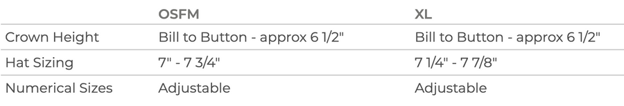 TESLAA PATCH RICHARDSON SNAPBACK CAP (YOUTH) | TESLAA