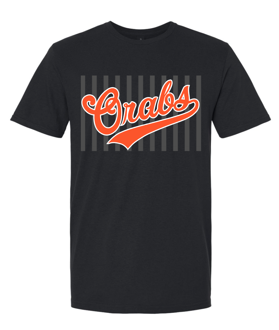 SCHOOL SPIRIT YOUTH/ADULT GILDAN SOFTSTYLE TEE | SS2026