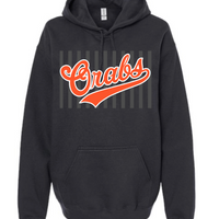 SCHOOL SPIRIT ADULT SOFTSTYLE MIDWEIGHT HOODED SWEATSHIRT | SS2026
